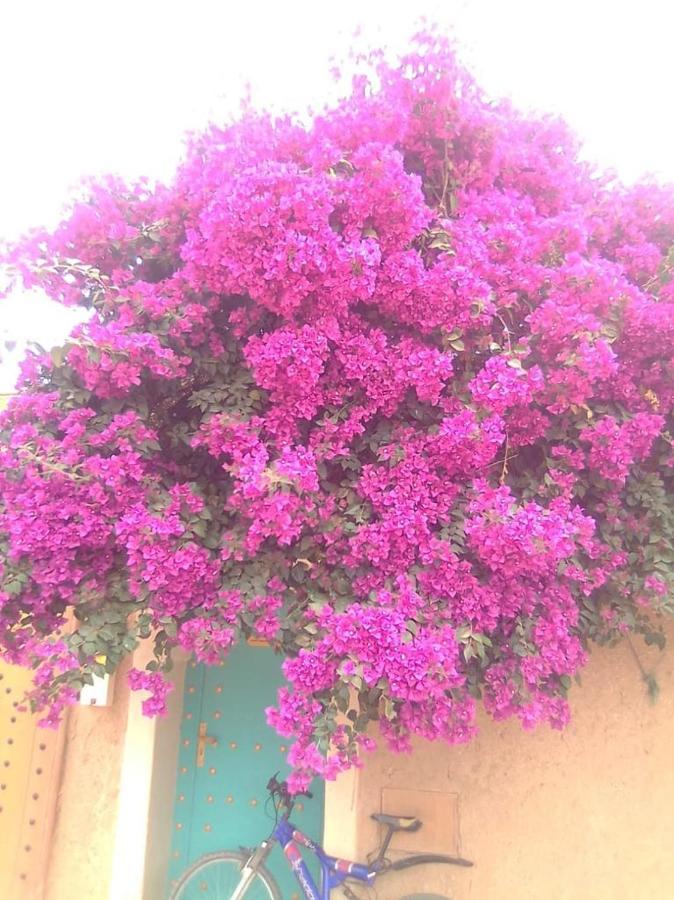 Riad Zidania Taroudant Exterior foto
